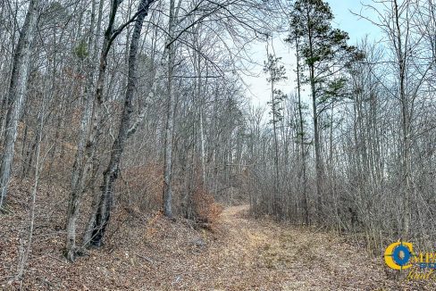 Spinks Tract Tennessee Land for Sale-37