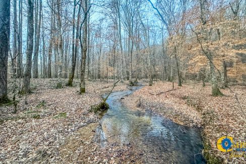 Spinks Tract Tennessee Land for Sale-41