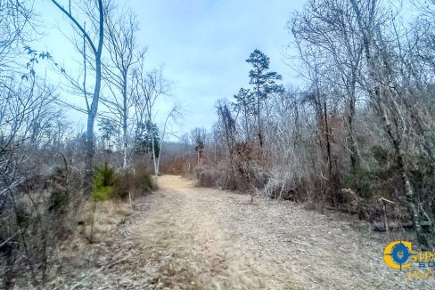 Spinks Tract Tennessee Land for Sale-50