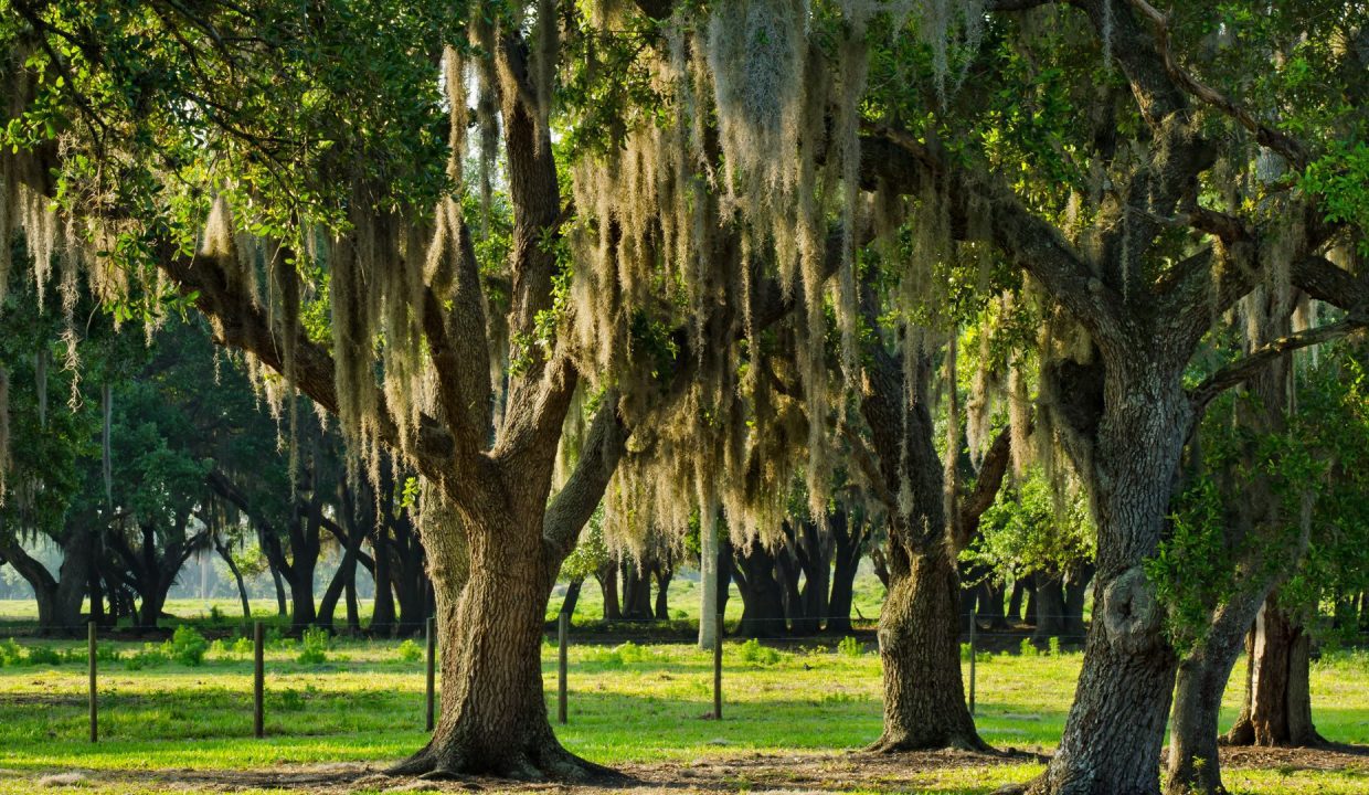 Compass South Land Sales Blog Jason McMillan