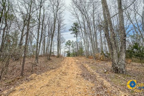 Highway 100 S2 Compass South Land Sales Tennessee-05