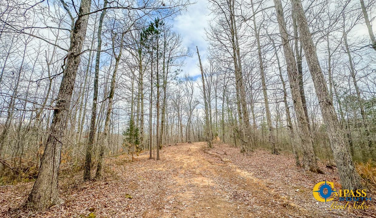 Highway 100 S2 Compass South Land Sales Tennessee-06
