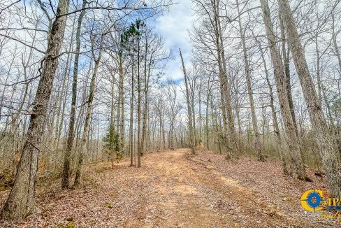 Highway 100 S2 Compass South Land Sales Tennessee-06