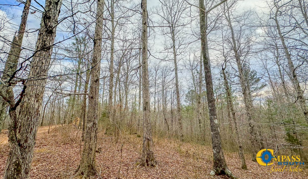 Highway 100 S2 Compass South Land Sales Tennessee-08