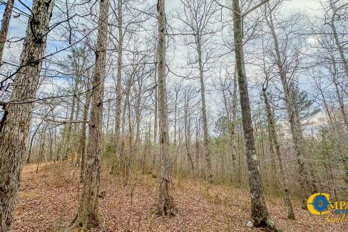 Highway 100 S2 Compass South Land Sales Tennessee-08