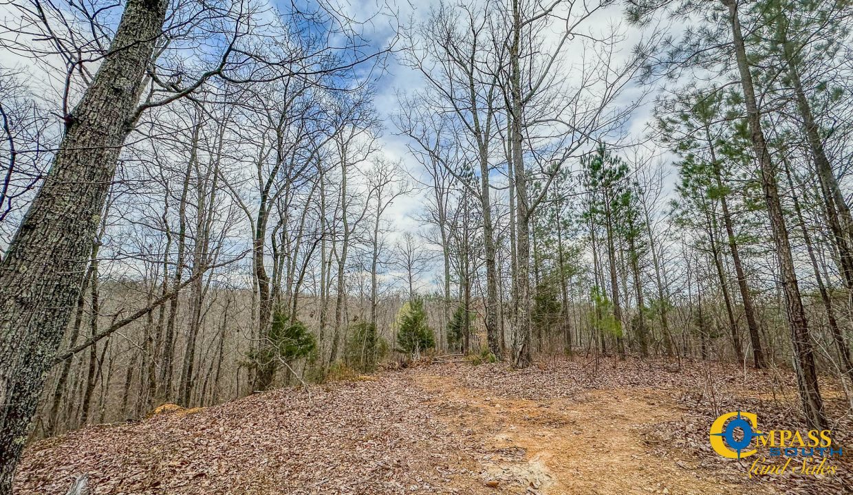 Highway 100 S2 Compass South Land Sales Tennessee-10