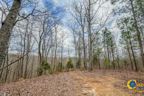 Highway 100 S2 Compass South Land Sales Tennessee-10
