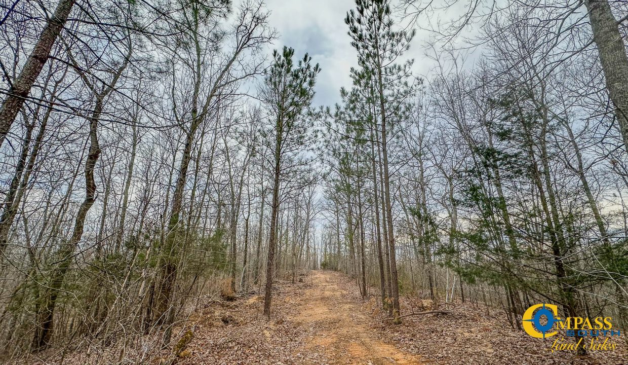 Highway 100 S3 Compass South Land Sales Tennessee-24