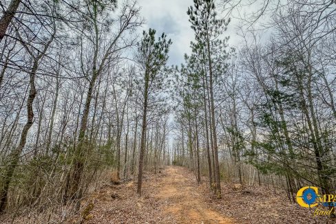 Highway 100 S3 Compass South Land Sales Tennessee-24