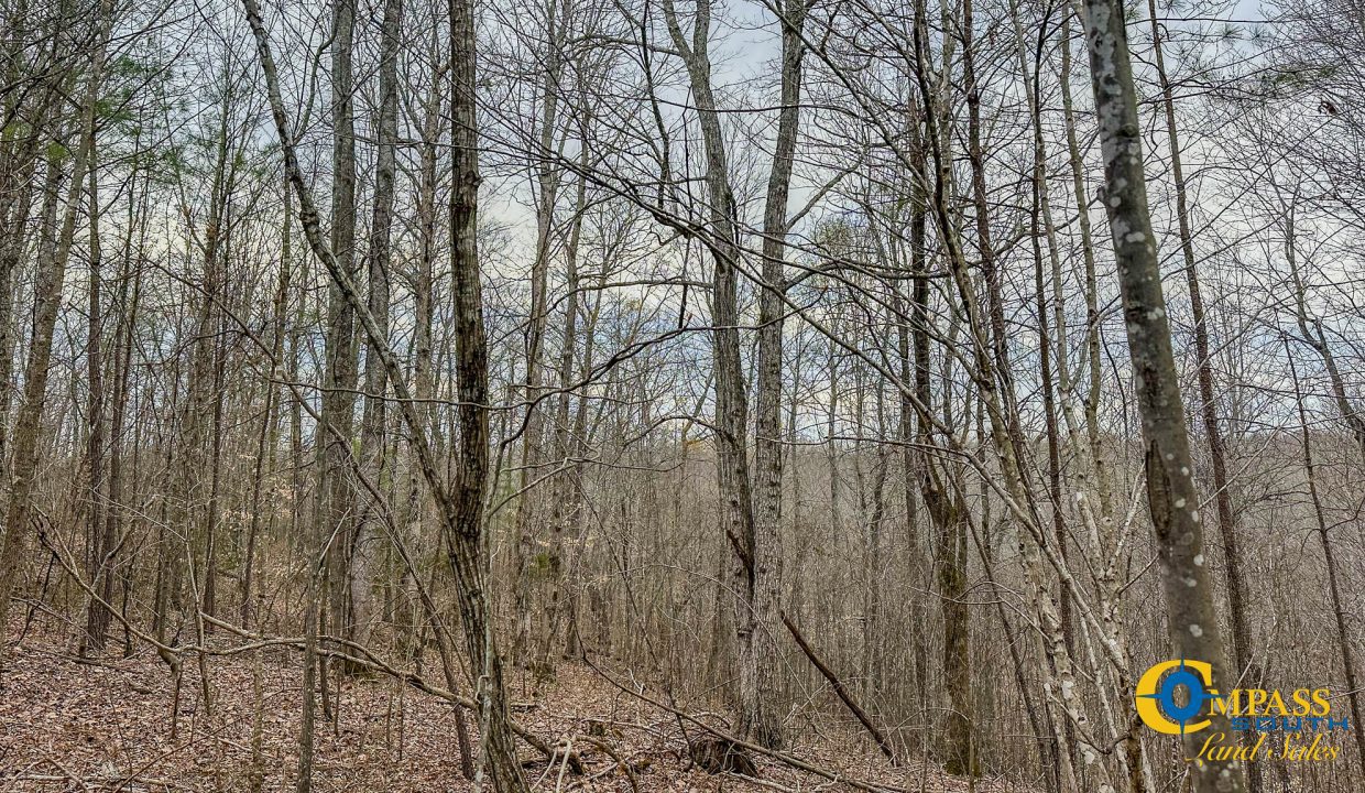 Highway 100 S3 Compass South Land Sales Tennessee-28