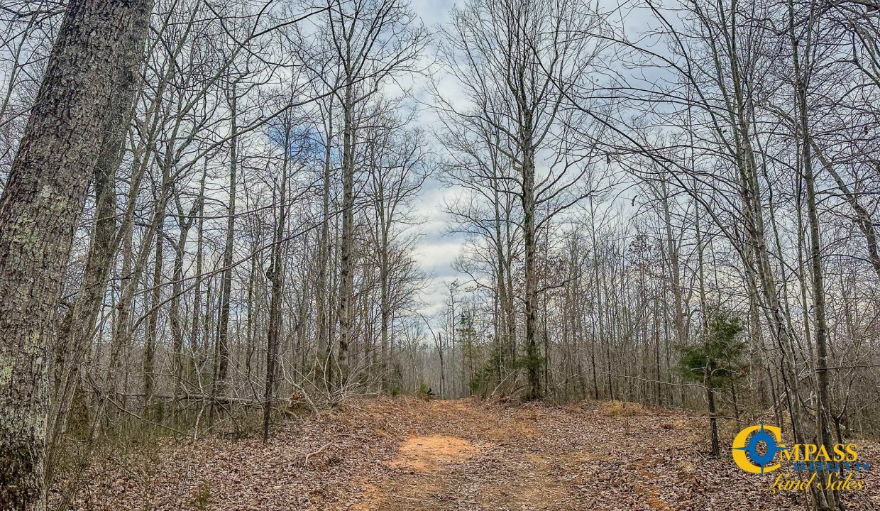 Highway 100 S3 Compass South Land Sales Tennessee-32
