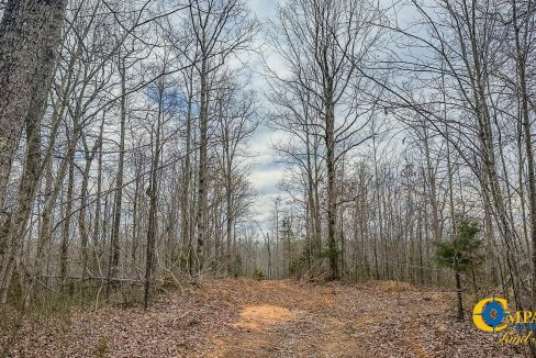 Highway 100 S3 Compass South Land Sales Tennessee-32