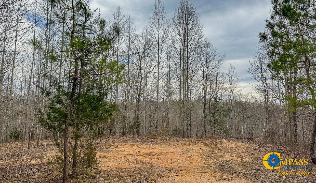Highway 100 S3 Compass South Land Sales Tennessee-33