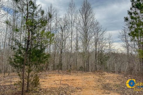 Highway 100 S3 Compass South Land Sales Tennessee-33