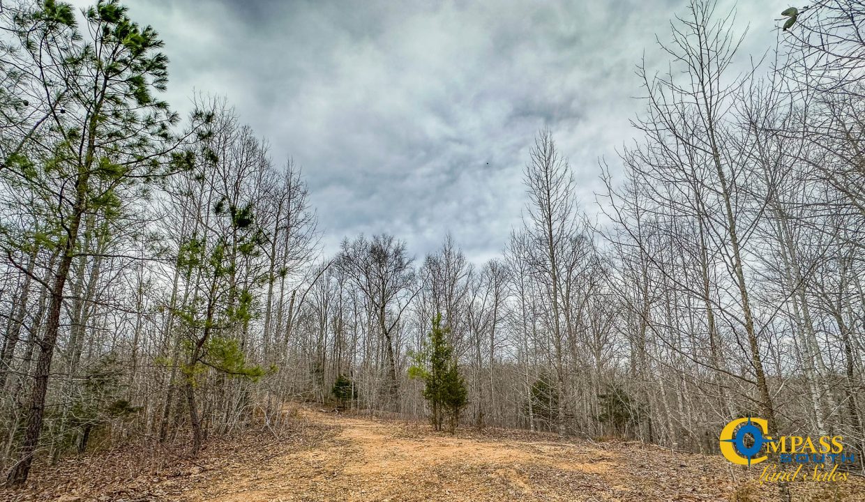 Highway 100 S3 Compass South Land Sales Tennessee-34