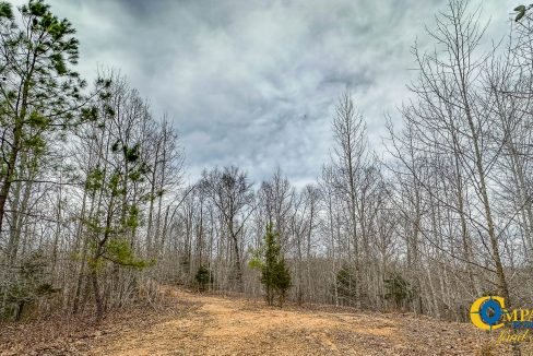 Highway 100 S3 Compass South Land Sales Tennessee-34