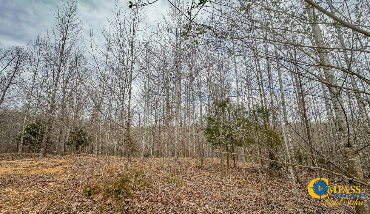 Highway 100 S3 Compass South Land Sales Tennessee-35