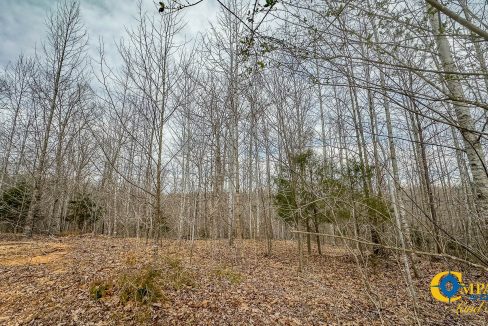 Highway 100 S3 Compass South Land Sales Tennessee-35