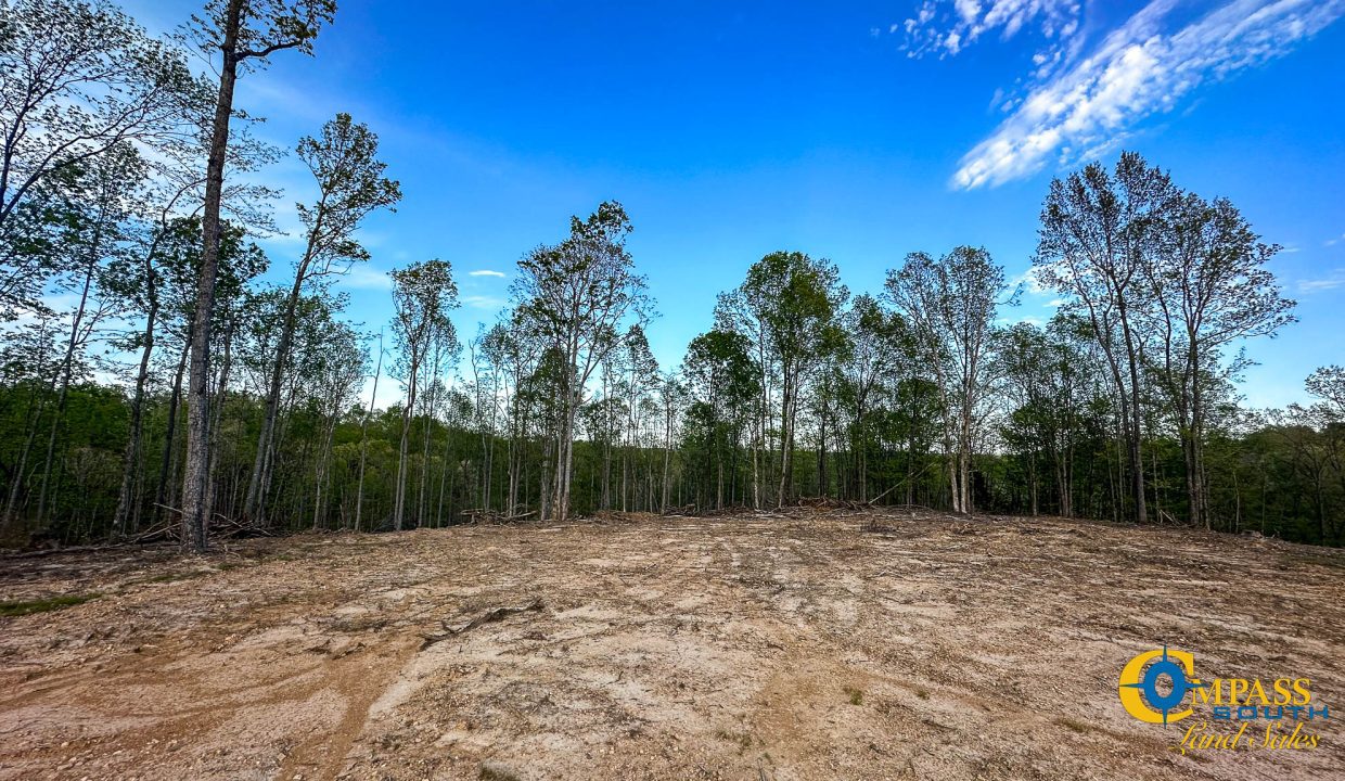 Highway 438 L2 Tennessee Land for Sale-143