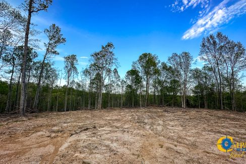 Highway 438 L2 Tennessee Land for Sale-143