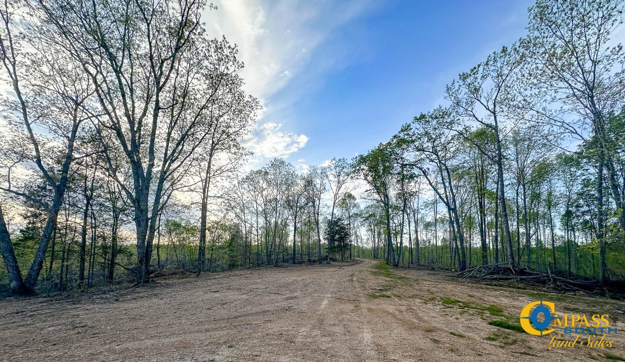 Highway 438 L2 Tennessee Land for Sale-144