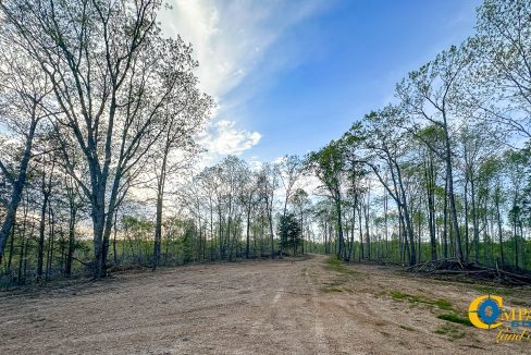 Highway 438 L2 Tennessee Land for Sale-144
