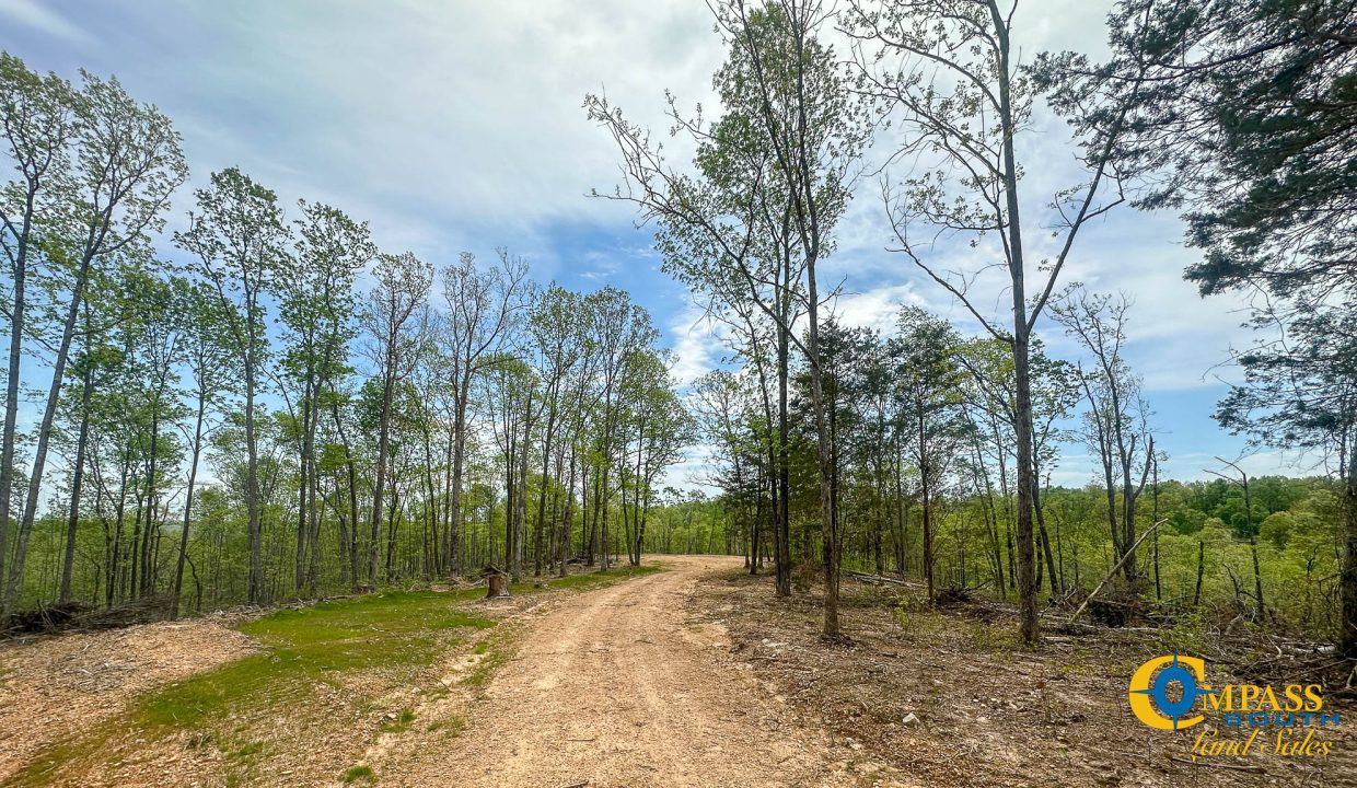 Highway 438 L2 Tennessee Land for Sale-145