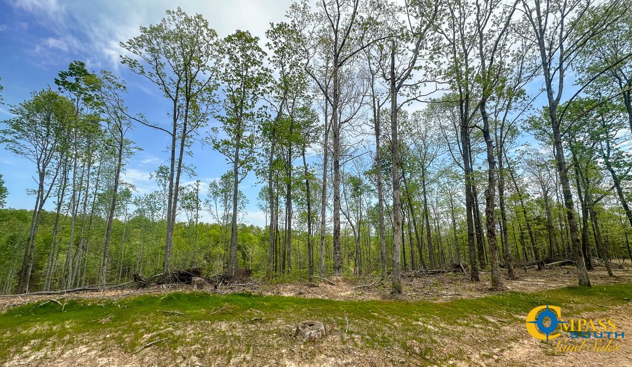 Highway 438 L2 Tennessee Land for Sale-146