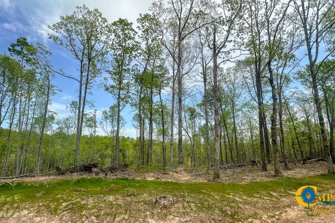 Highway 438 L2 Tennessee Land for Sale-146