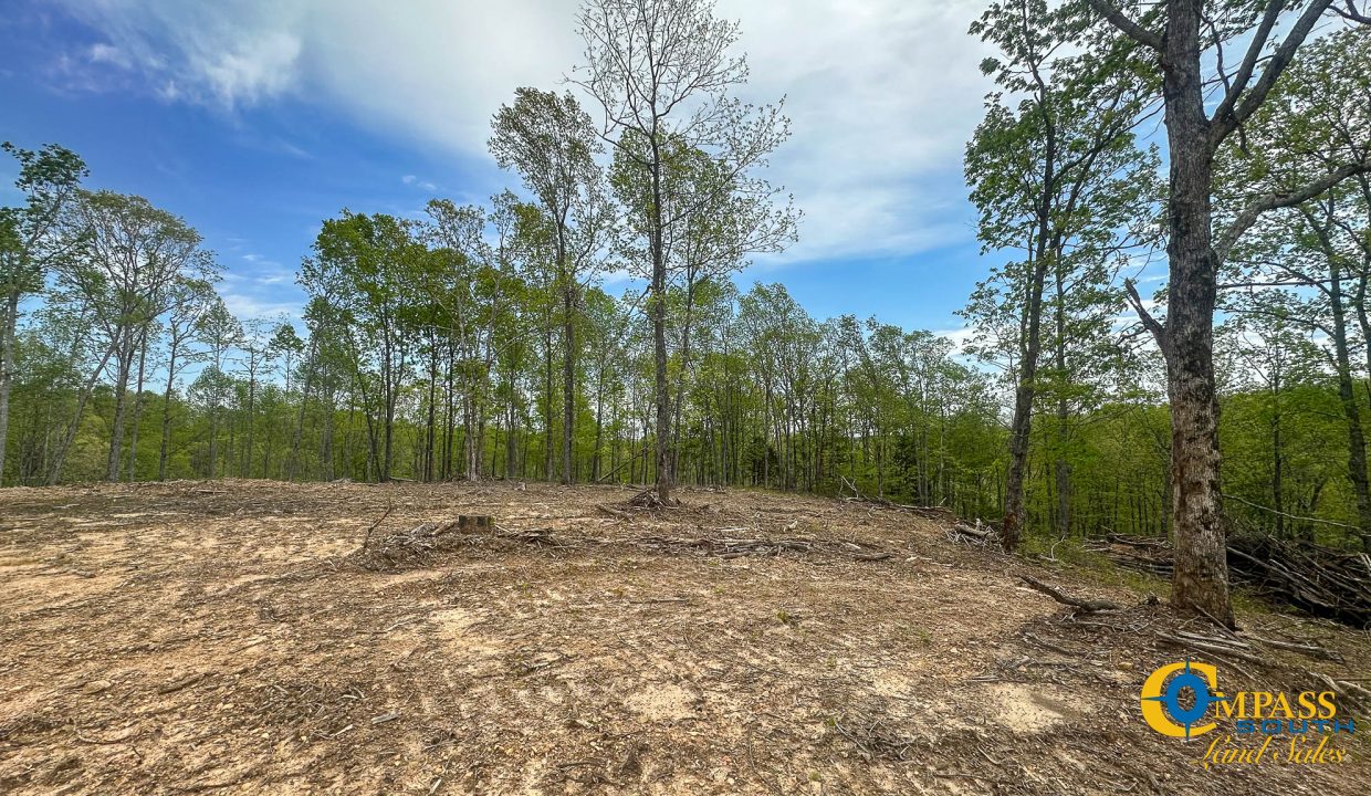 Highway 438 L2 Tennessee Land for Sale-149