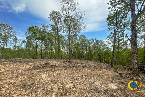 Highway 438 L2 Tennessee Land for Sale-149