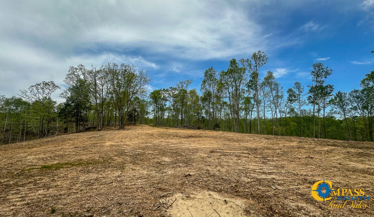 Highway 438 L2 Tennessee Land for Sale-150
