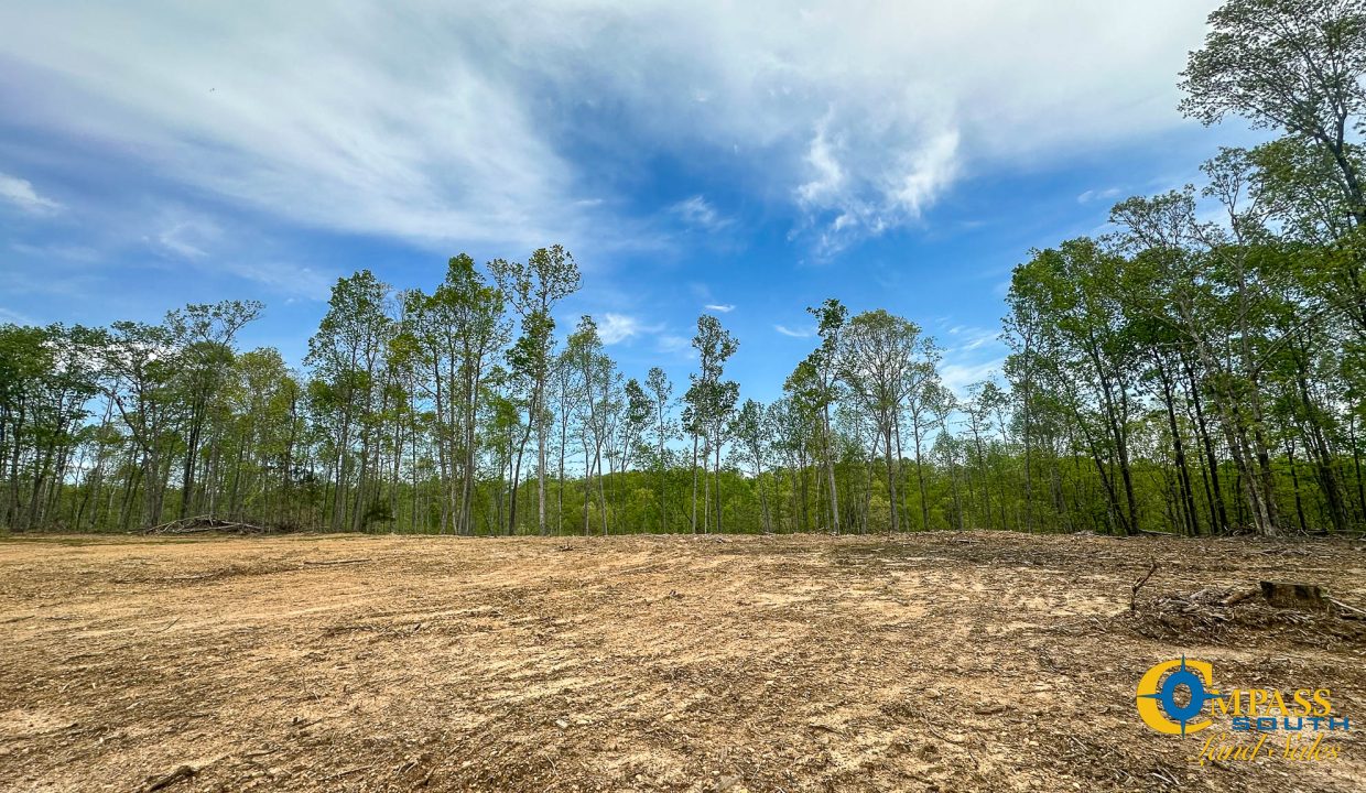 Highway 438 L2 Tennessee Land for Sale-151