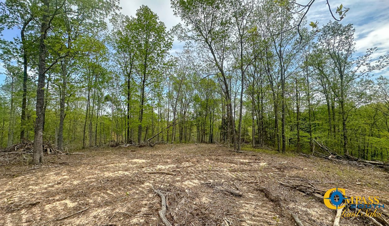 Highway 438 L2 Tennessee Land for Sale-152