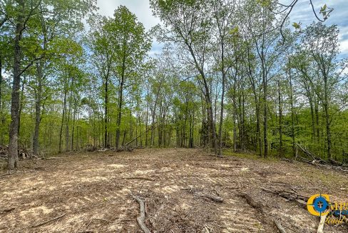 Highway 438 L2 Tennessee Land for Sale-152