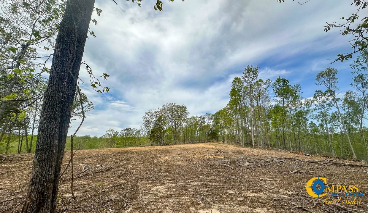 Highway 438 L2 Tennessee Land for Sale-153