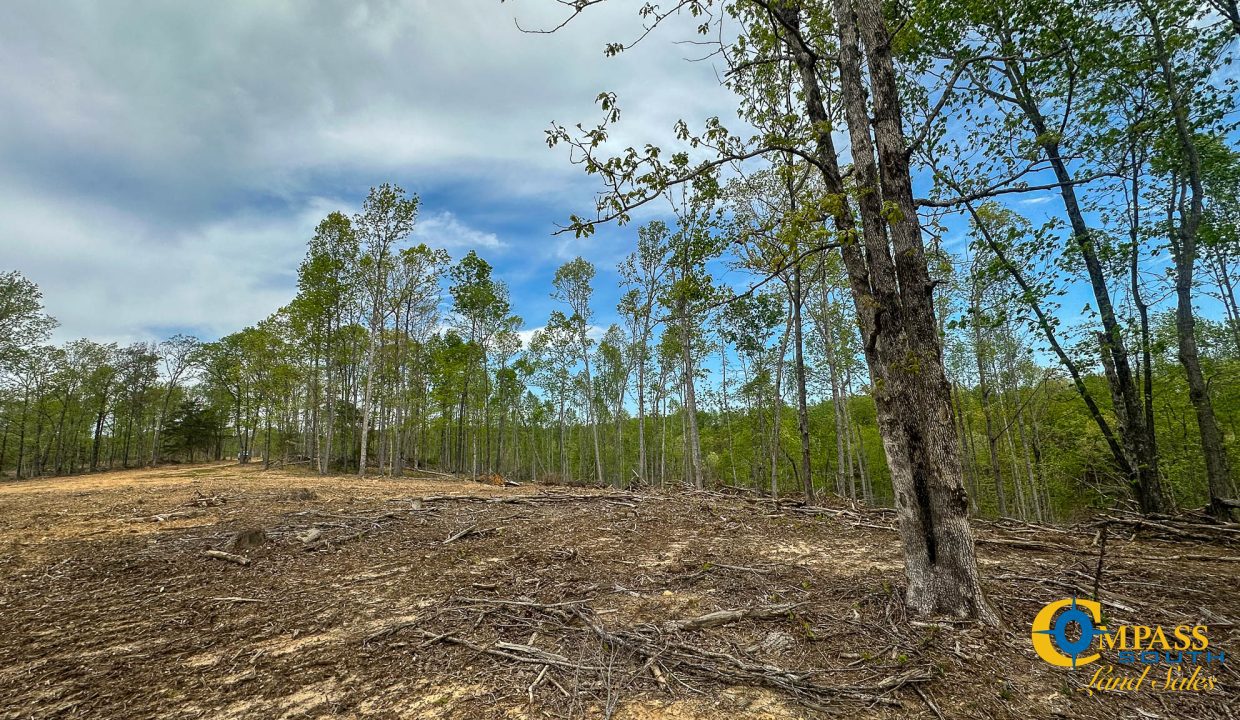 Highway 438 L2 Tennessee Land for Sale-154