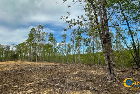 Highway 438 L2 Tennessee Land for Sale-154