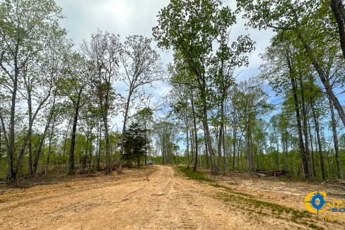 Highway 438 L2 Tennessee Land for Sale-156