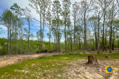 Highway 438 L2 Tennessee Land for Sale-157
