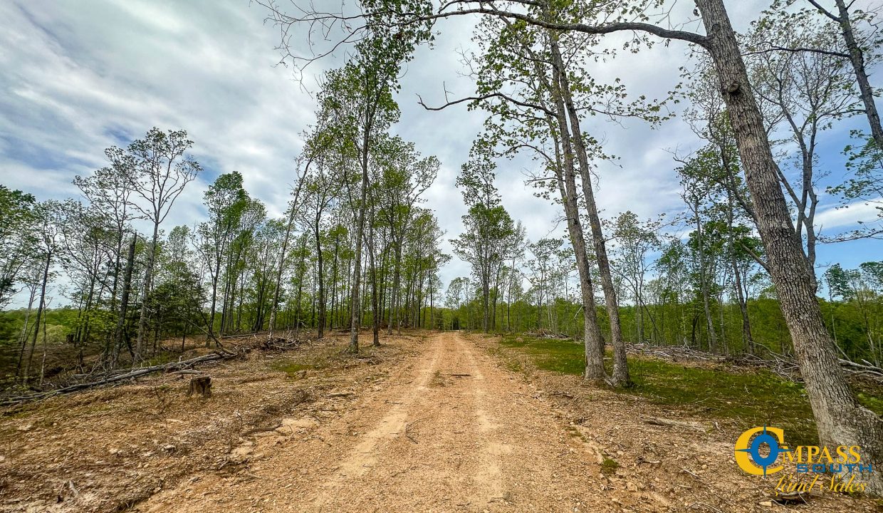 Highway 438 L2 Tennessee Land for Sale-159