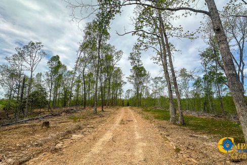 Highway 438 L2 Tennessee Land for Sale-159