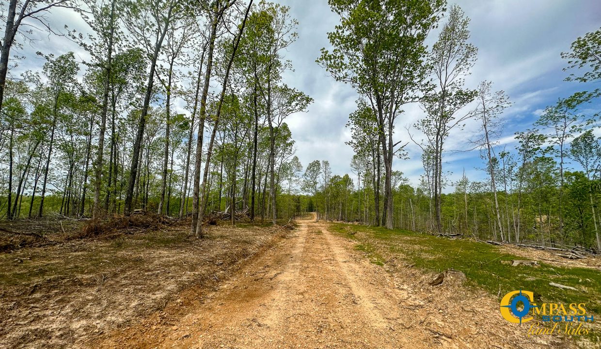 Highway 438 L2 Tennessee Land for Sale-160