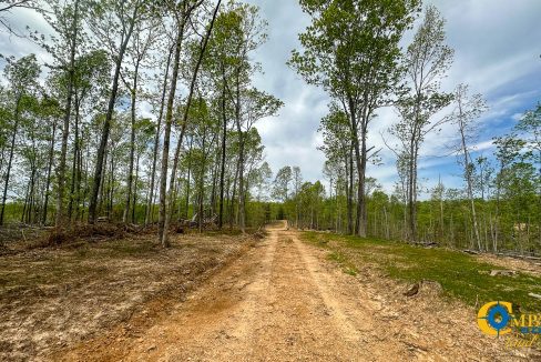 Highway 438 L2 Tennessee Land for Sale-160