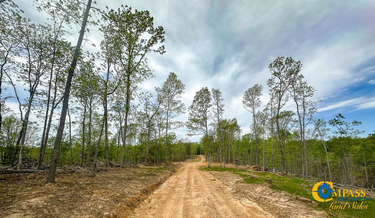 Highway 438 L2 Tennessee Land for Sale-162