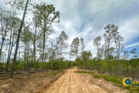 Highway 438 L2 Tennessee Land for Sale-162
