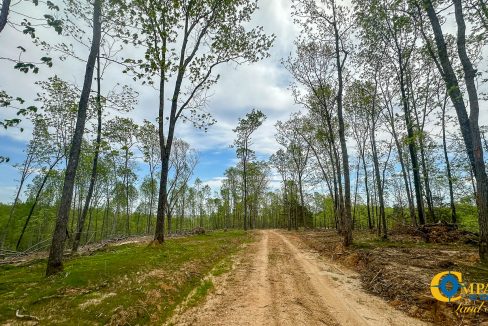 Highway 438 L2 Tennessee Land for Sale-163
