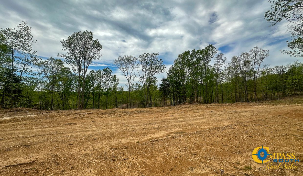 Highway 438 L2 Tennessee Land for Sale-165