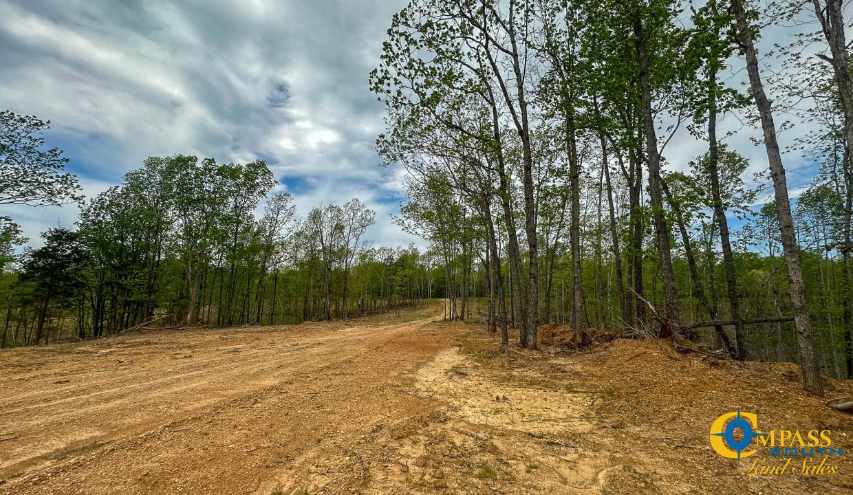 Highway 438 L2 Tennessee Land for Sale-166