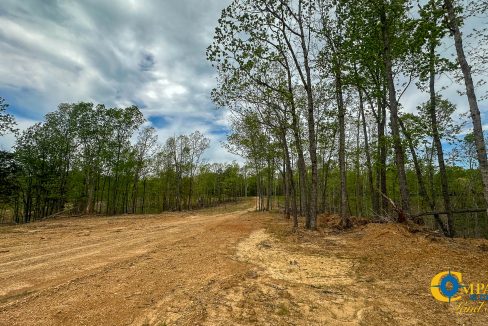 Highway 438 L2 Tennessee Land for Sale-166